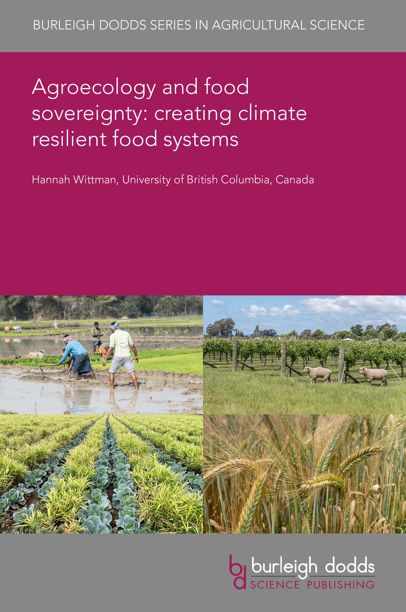 Cover image for Agroecology and food sovereignty: creating climate resilient food systems ISBN 9781835459249